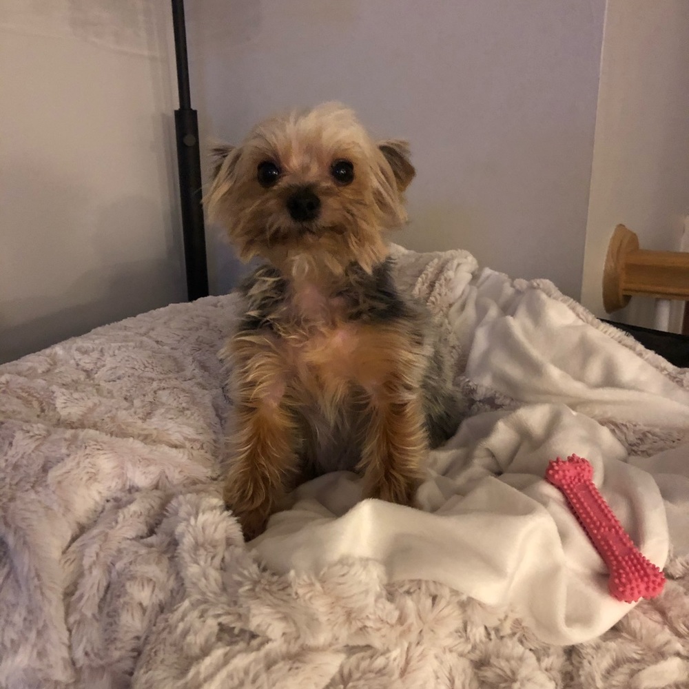 Meet your Posher, Sarah